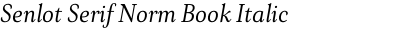 Senlot Serif Norm Book Italic